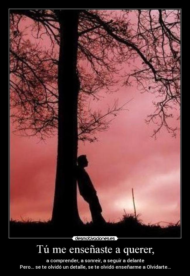 Tú me enseñaste a querer, - a comprender, a sonreir, a seguir a delante
Pero... se te olvidó un detalle, se te olvidó enseñarme a Olvidarte...