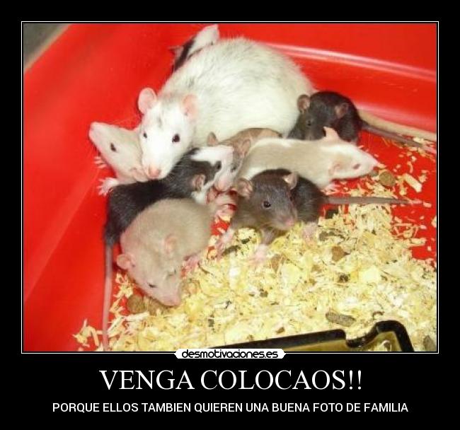 VENGA COLOCAOS!! - PORQUE ELLOS TAMBIEN QUIEREN UNA BUENA FOTO DE FAMILIA