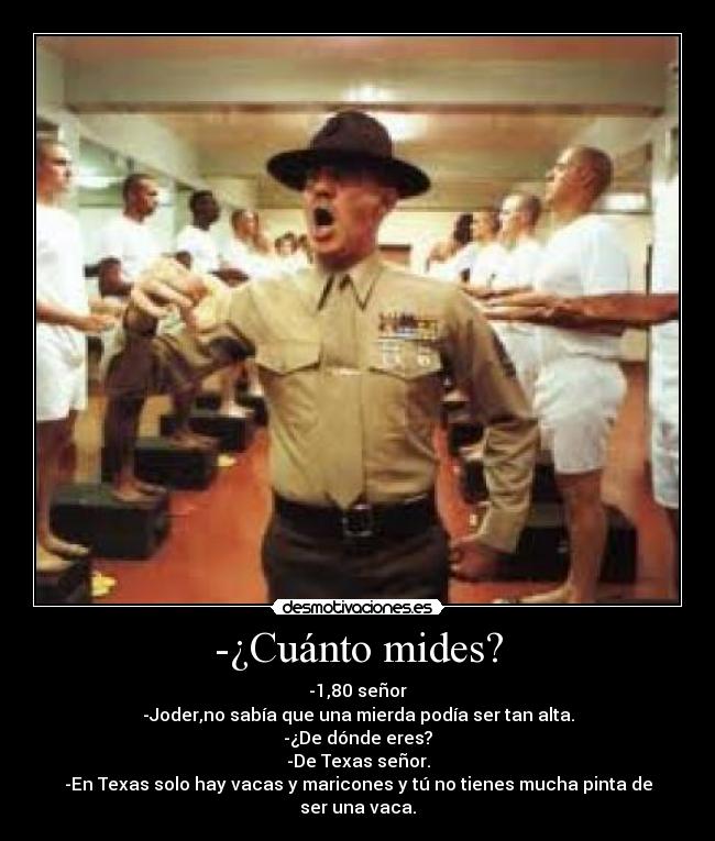 -¿Cuánto mides? - -1,80 señor
-Joder,no sabía que una mierda podía ser tan alta.
-¿De dónde eres?
-De Texas señor.
-En Texas solo hay vacas y maricones y tú no tienes mucha pinta de ser una vaca.