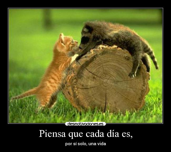 Piensa que cada día es, - por sí solo, una vida