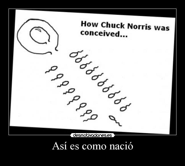 Así es como nació - 
