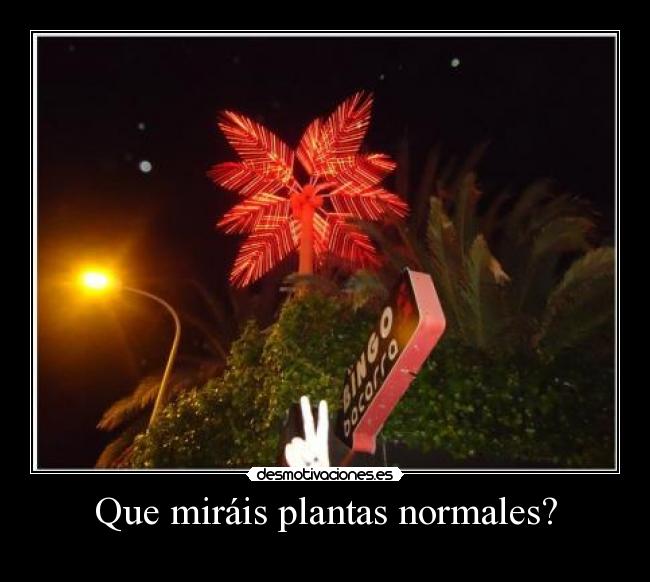 Que miráis plantas normales? -