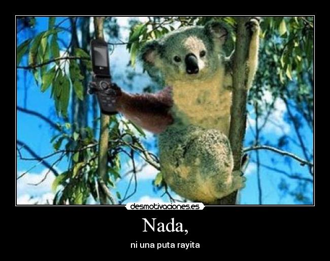 Nada, - ni una puta rayita