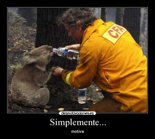 Simplemente... -