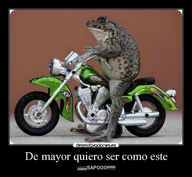 De mayor quiero ser como este - ¡¡¡¡¡¡¡¡SAPOOO!!!!!!!