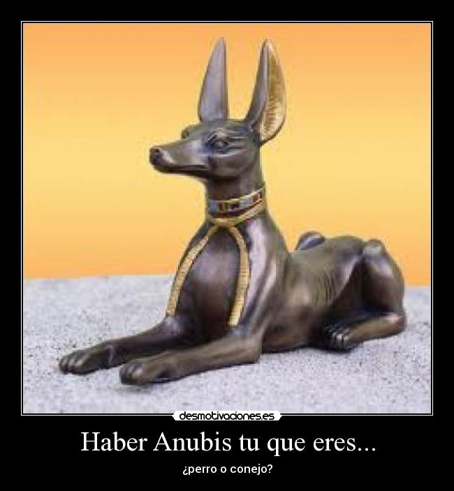 Haber Anubis tu que eres... - 