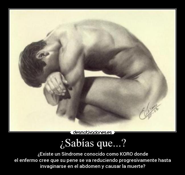 ¿Sabías que...? - ¿Existe un Síndrome conocido como KORO donde
el enfermo cree que su pene se va reduciendo progresivamente hasta
invaginarse en el abdomen y causar la muerte?