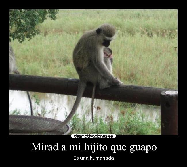 Mirad a mi hijito que guapo -