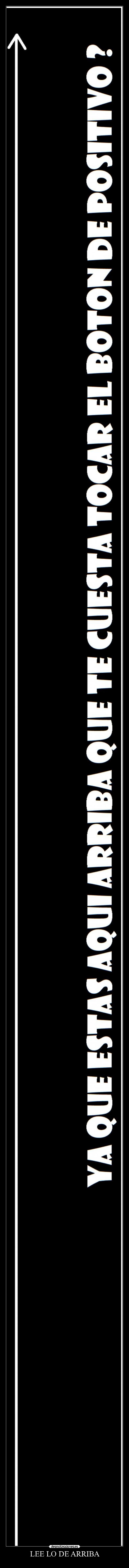 LEE LO DE ARRIBA - 