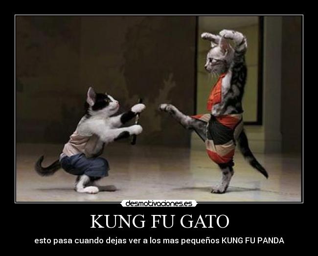 KUNG FU GATO - esto pasa cuando dejas ver a los mas pequeños KUNG FU PANDA