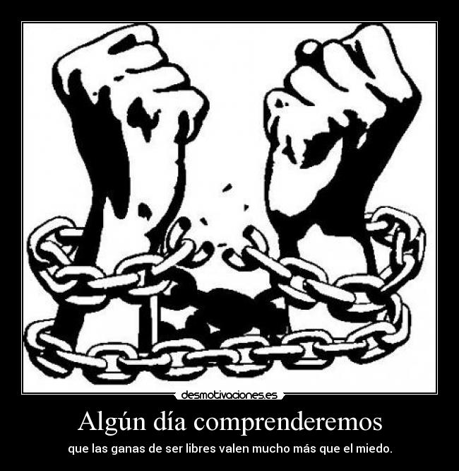 Algún día comprenderemos -