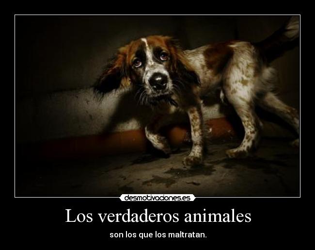 Los verdaderos animales -