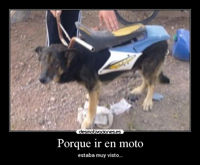 Porque ir en moto -