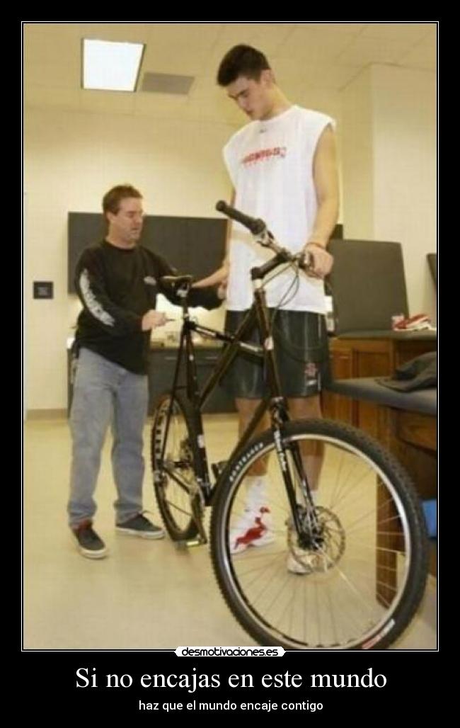 carteles mundo encajas este mundo haz que mundo encaje contigo yao ming desmotivaciones bicicleta desmotivaciones