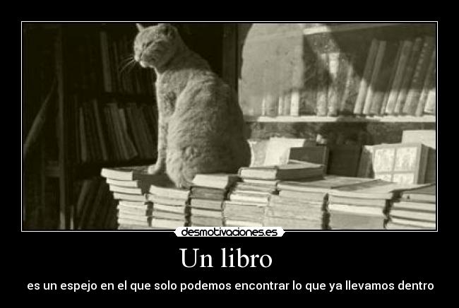 Un libro  - 