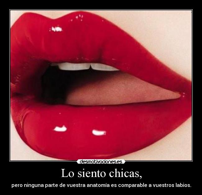 carteles siento chicas pero ninguna parte vuestra anatomia comparabale labios imparcial desmotivaciones