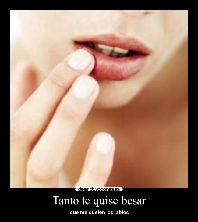 Tanto te quise besar -