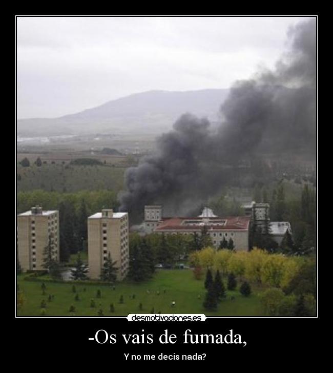 carteles sanny desmotivaciones