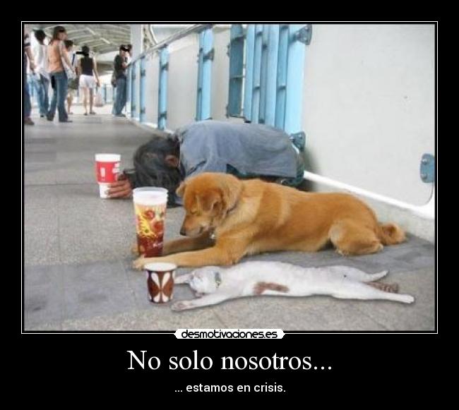 No solo nosotros... -