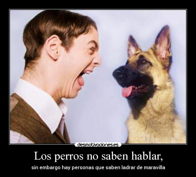 Los perros no saben hablar, - sin embargo hay personas que saben ladrar de maravilla