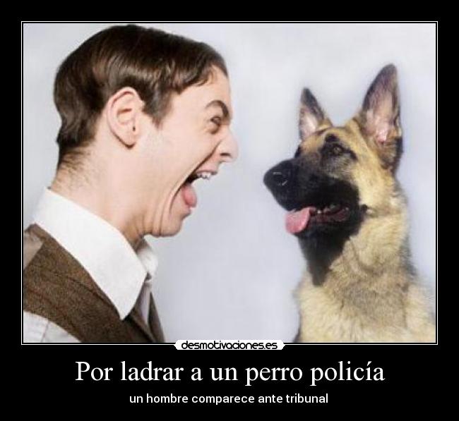 Por ladrar a un perro policía - 
