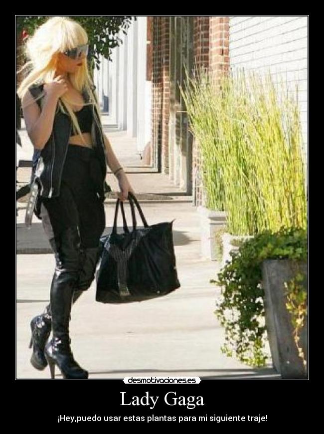 Lady Gaga -