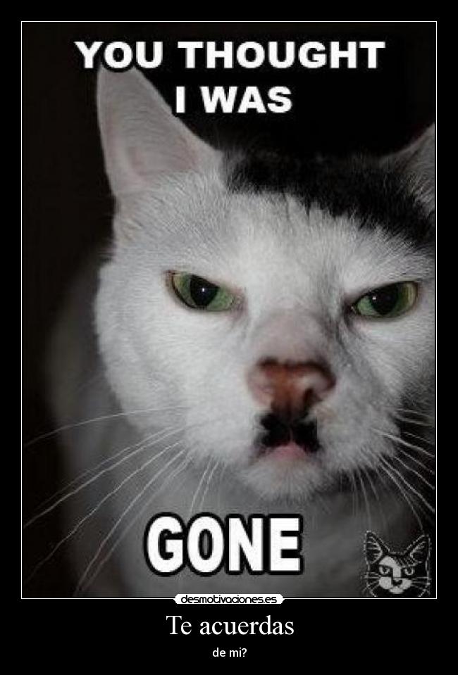 Te acuerdas - de mi?