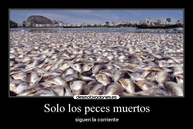 Solo los peces muertos - 