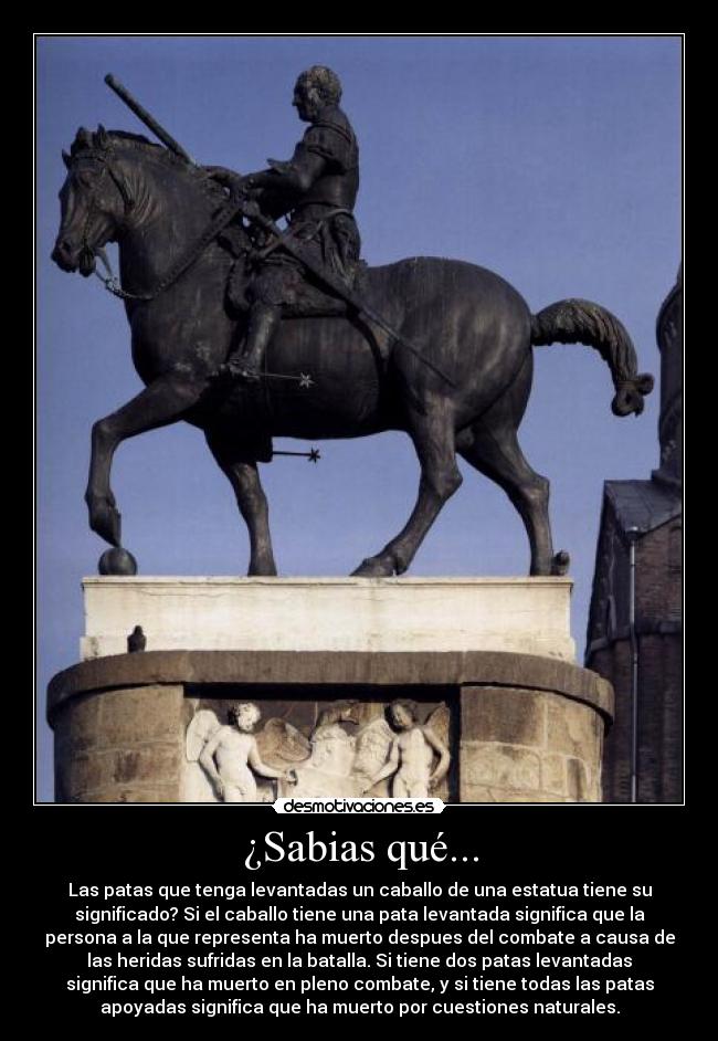¿Sabias qué... -