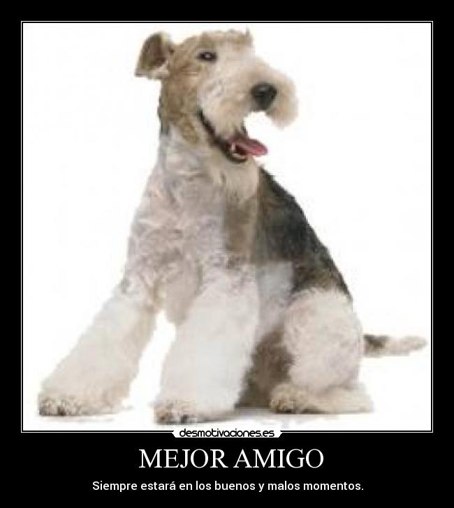  MEJOR AMIGO - 
