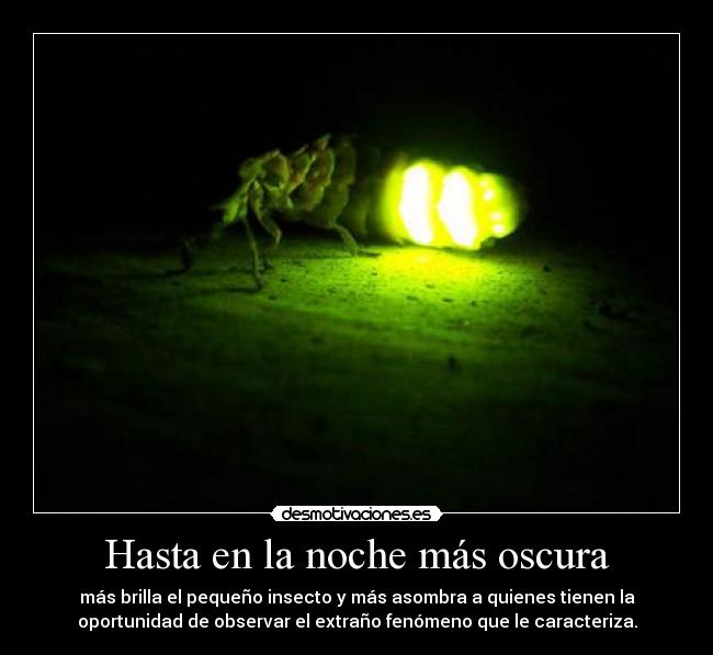 Hasta en la noche más oscura - más brilla el pequeño insecto y más asombra a quienes tienen la
oportunidad de observar el extraño fenómeno que le caracteriza.