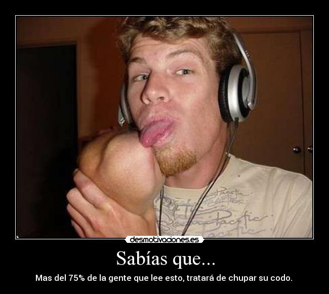 lamer chupar pollas lamer chupar pollas