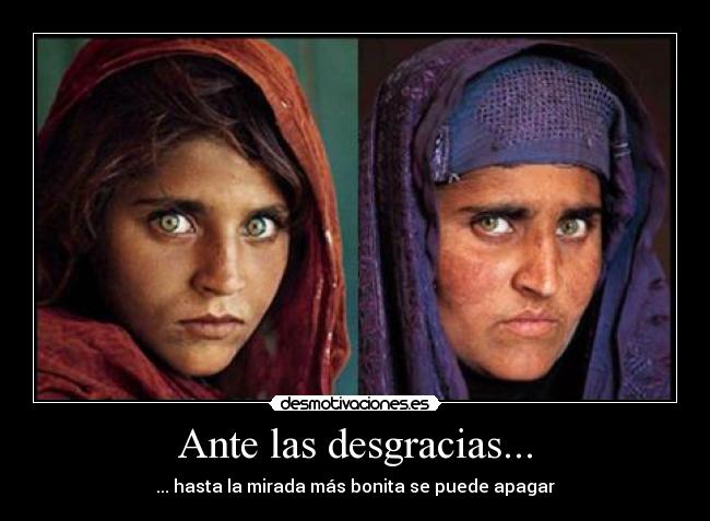 Ante las desgracias... - 