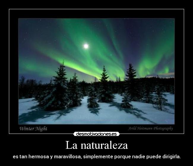 La naturaleza - es tan hermosa y maravillosa, simplemente porque nadie puede dirigirla.