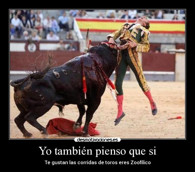 Yo también pienso que si - 