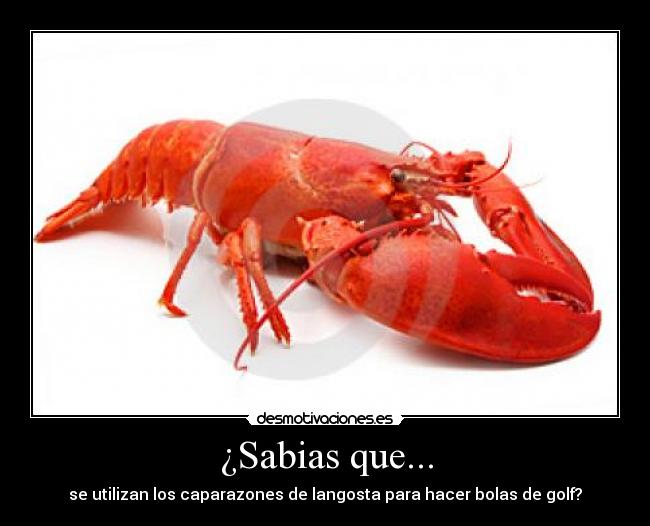¿Sabias que... - 