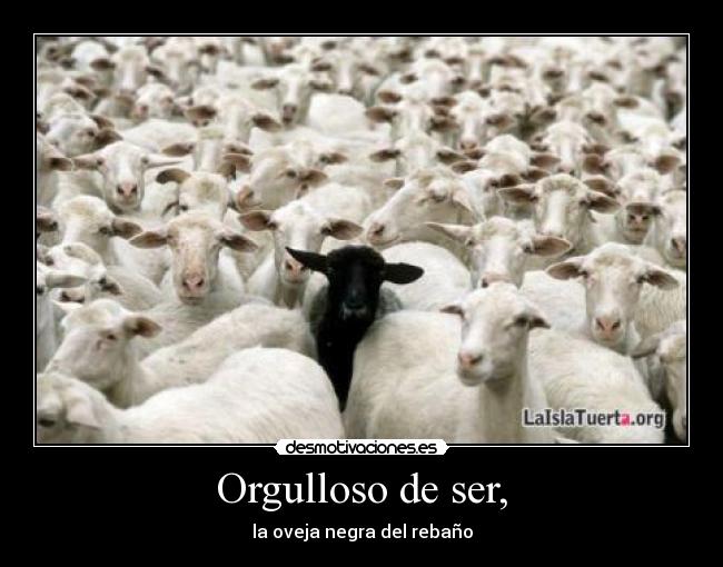 carteles antifa betiiii desmotivaciones