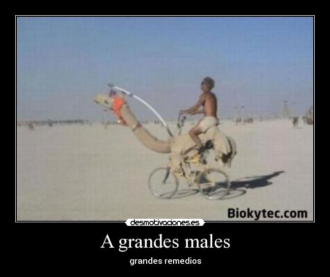 A grandes males - grandes remedios