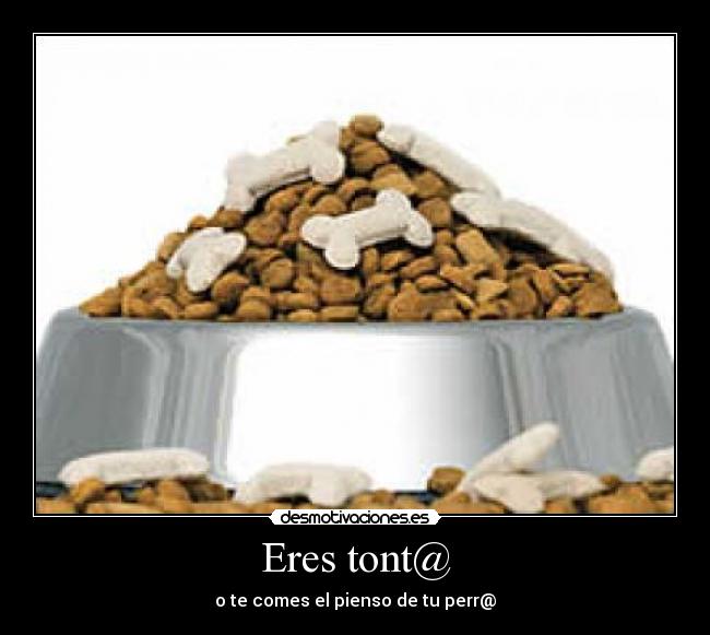 Eres tont@ - o te comes el pienso de tu perr@