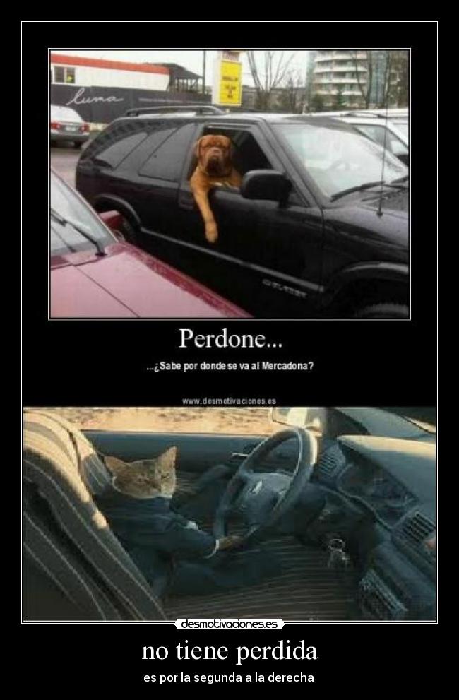 no tiene perdida - 