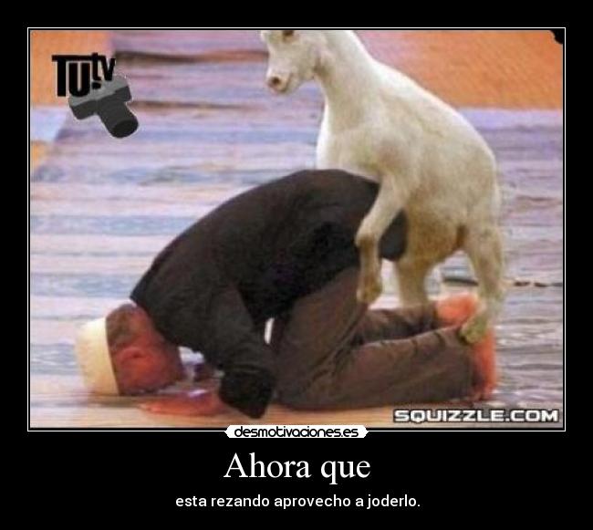 Ahora que - esta rezando aprovecho a joderlo.