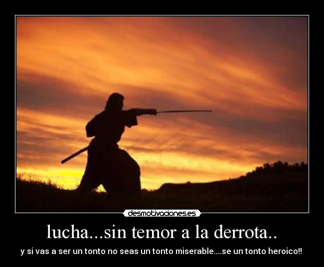 lucha...sin temor a la derrota.. - y si vas a ser un tonto no seas un tonto miserable....se un tonto heroico!!