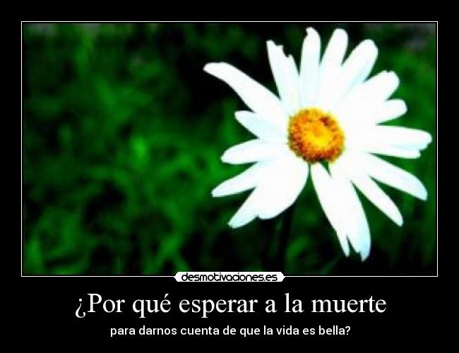 ¿Por qué esperar a la muerte -
