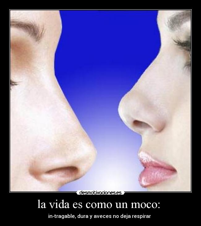 la vida es como un moco:  - 
