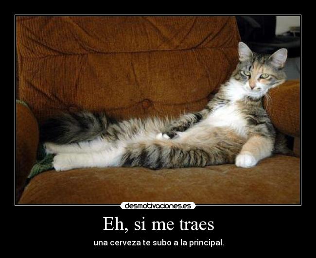 Eh, si me traes - una cerveza te subo a la principal.
