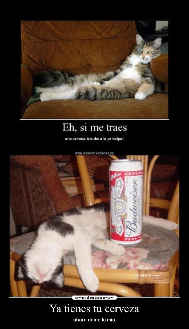 Ya tienes tu cerveza - ahora dame lo mío.