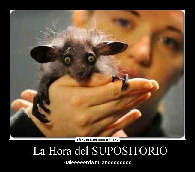 -La Hora del SUPOSITORIO - -Mieeeeerda mi anoooooooo