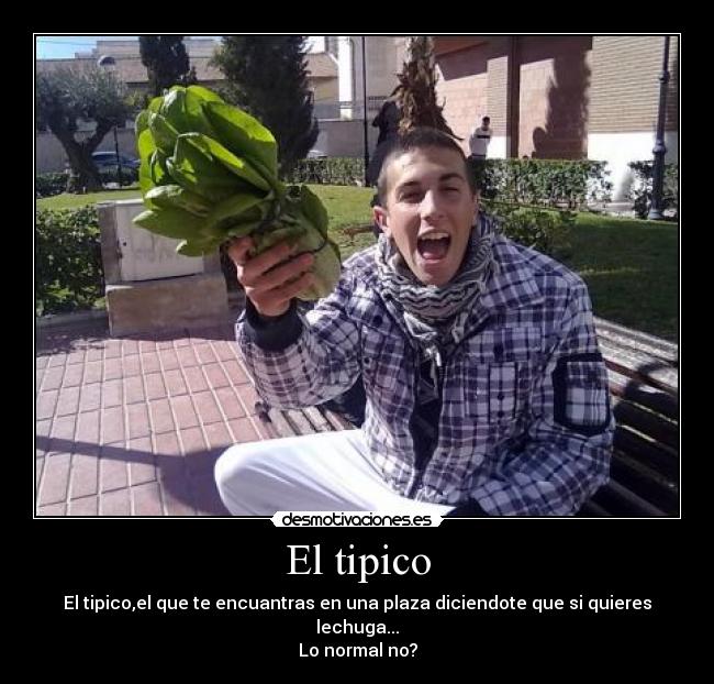 El tipico -