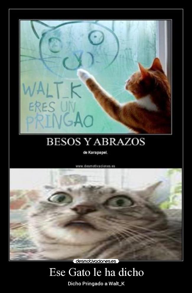 Ese Gato le ha dicho - 