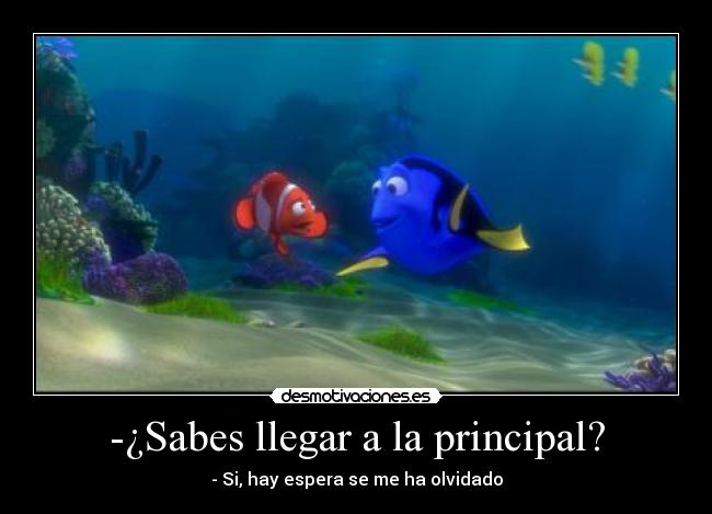 -¿Sabes llegar a la principal? - 